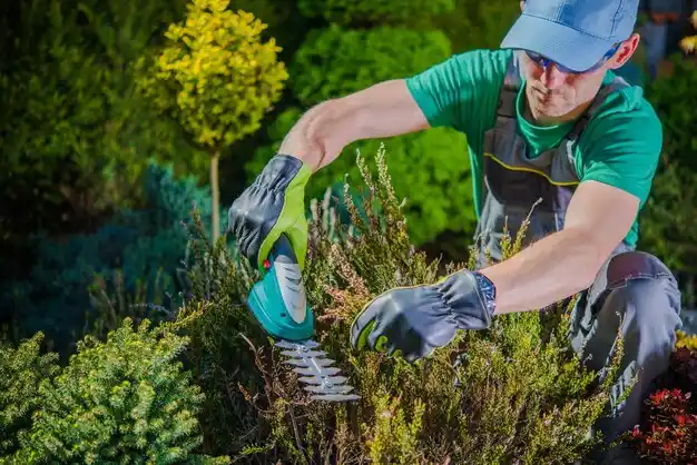 landscaping services Ogallala
